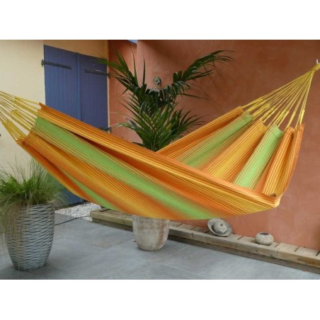 TROPICAL INFLUENCES HAMACS