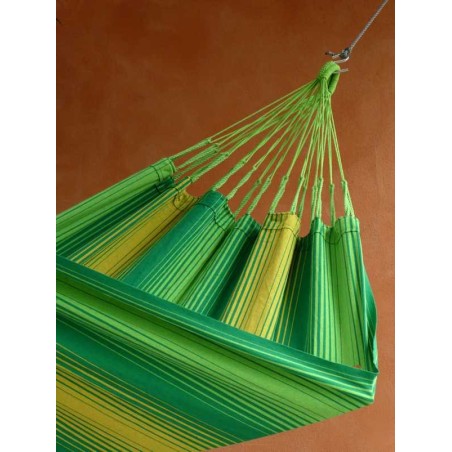 hamac tropical influences