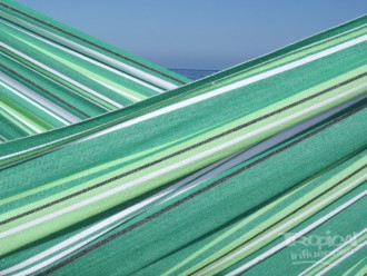 toile hamac vert