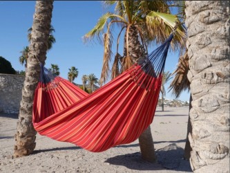 hamac rouge et jaune suspendu entre deux palmiers