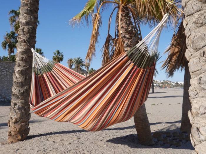 hamac entre deux palmiers
