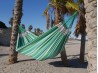 Hamac CARIBE XXL Albizia