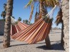 CARIBE XL Aguilas Hammock