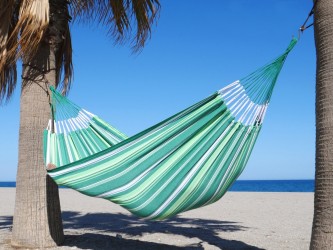 CARIBE L Albizia Hammock