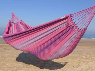 Hamac rose