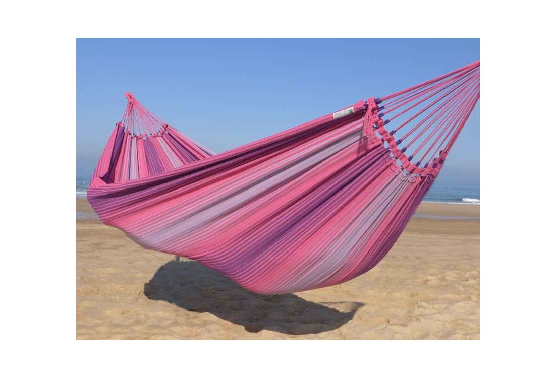 Hamac rose
