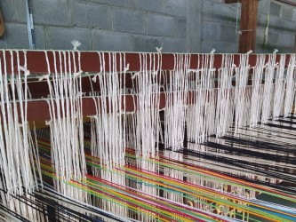 Vue d’atelier au Venezuela : plusieurs hamacs artisanaux suspendus, témoins d’un savoir-faire ancestral