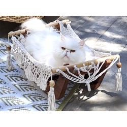 Hamac pour chat écru +...