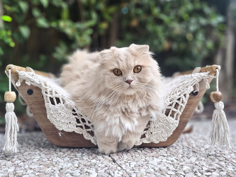 Copie Hamac pour chat écru...