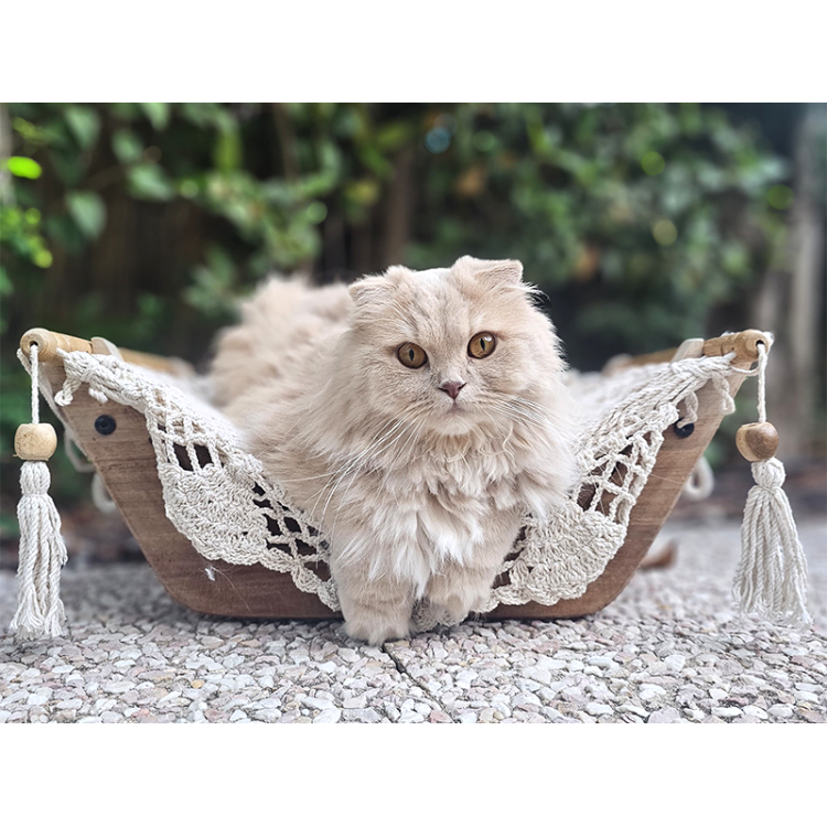 Chat dans un hamac pour chat écru avec support en bois sur une terrasse