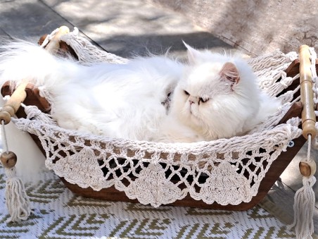 Chat dans un hamac pour chat écru avec support en bois sur une terrasse ensoleillée