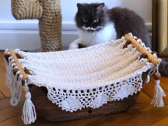 Chat à côté sur un hamac pour chat ecru avec support en bois Chat à côté sur un hamac pour chat ecru avec support en bois