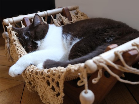Hamac pour chat couleur taupe et support en bois avec un chat noir et blanc qui dort