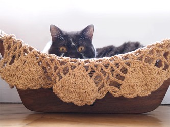 Chat dans un hamac jouant