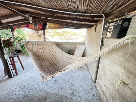 Plan aérien de hamac Moriche avec des lignes brunes