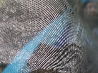 Détail de la maille fine, permettant une bonne circulation de l’air tout en bloquant les insectes, même les plus petits