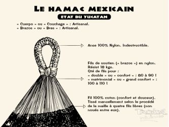 Amaca messicana L Tequila