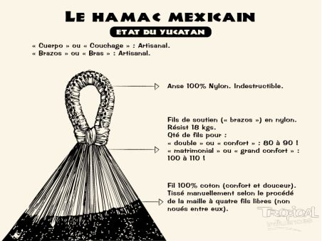 Amaca messicana L Tequila