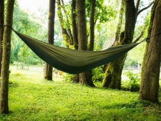 Hamac vert suspendu dans un environnement boisé, offrant un espace de repos paisible en harmonie avec la nature