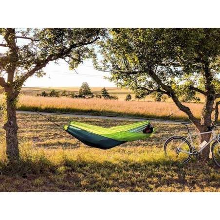 Silk Traveler Forest