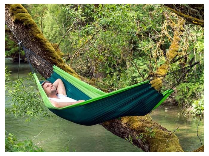 Silk Traveler Forest Silk Traveler Forest