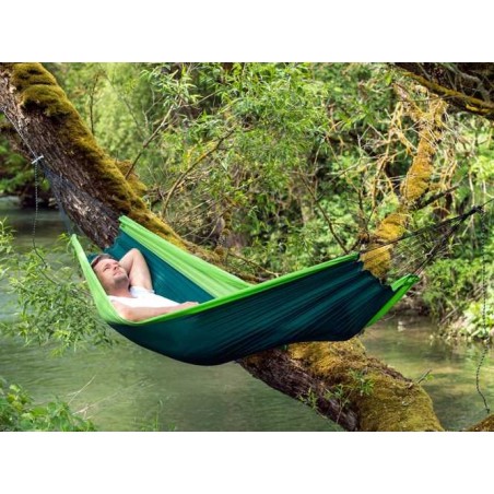 Silk Traveler Forest