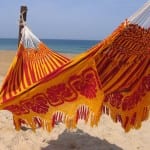 Chinchorro Wayuu